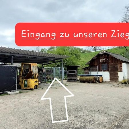 Ferienwohnung/Monteurzimmer Auf Dem Bauernhof Mörlenbach Extérieur photo