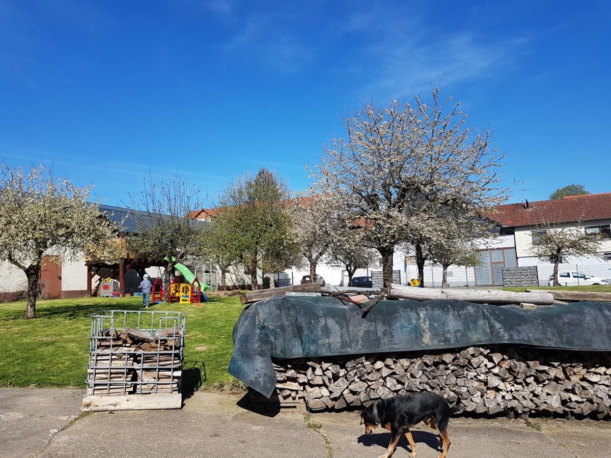 Ferienwohnung/Monteurzimmer Auf Dem Bauernhof Mörlenbach Extérieur photo
