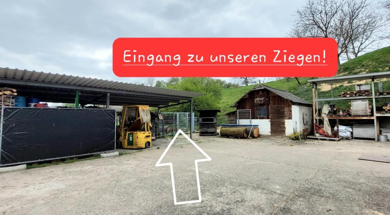 Ferienwohnung/Monteurzimmer Auf Dem Bauernhof Mörlenbach Extérieur photo