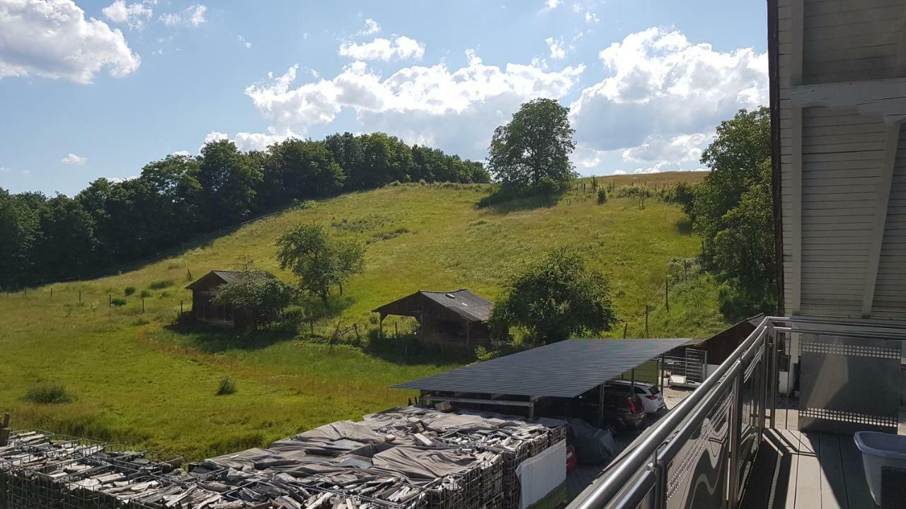Ferienwohnung/Monteurzimmer Auf Dem Bauernhof Mörlenbach Extérieur photo